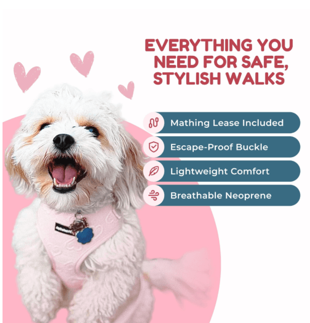 Example listing image 31